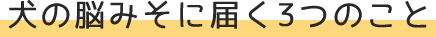 big title1 big title1