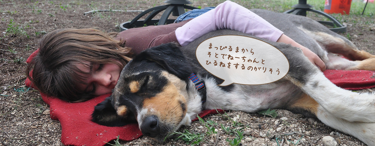 end-main-img end-main-img