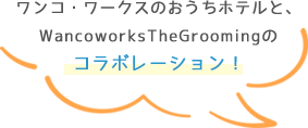 nobinobi_bb