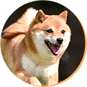 nobinobi_img