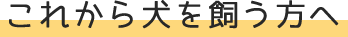 pre title1 pre title1