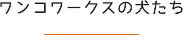staff title2