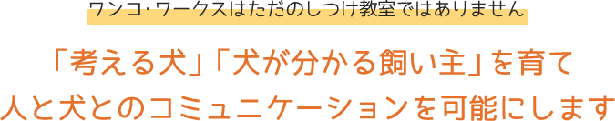 top title1 top title1