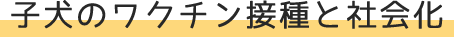 vac title1 vac title1